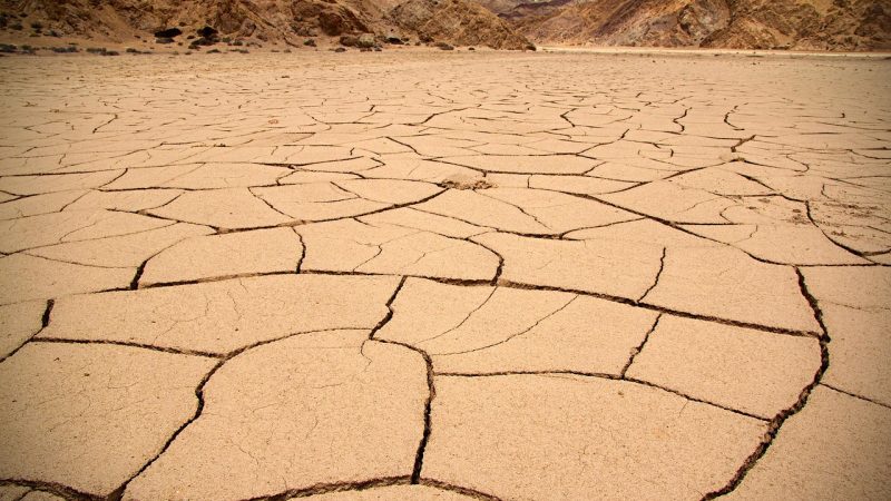 大地基地和同类平台比哪个好 配图