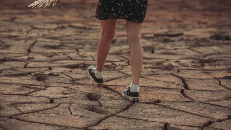 大地基地这几年的六个节点