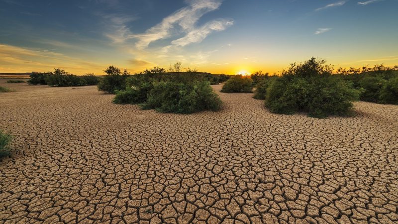 新手怎么用大地基地,以及三个最容易踩的坑